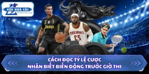 Cách Đọc Tỷ Lệ Cược - Nhận Biết Biến Động Cực Chuẩn 14 Cách đọc tỷ lệ cược