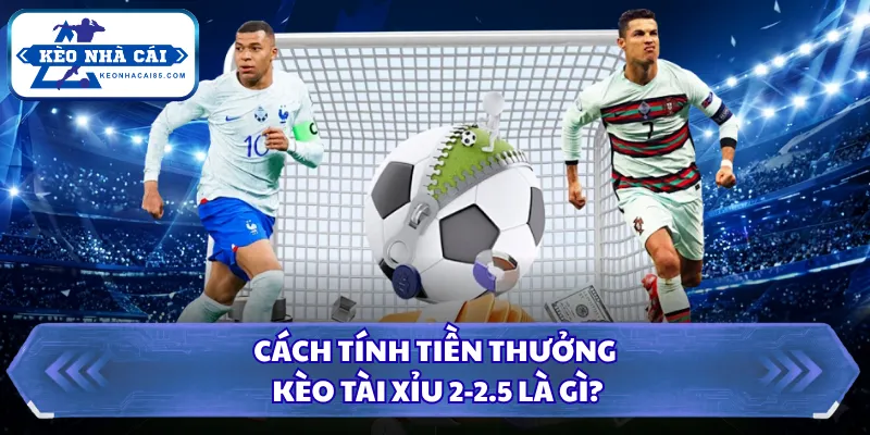 Cách tính tiền thưởng kèo tài xỉu 2-2.5 là gì?