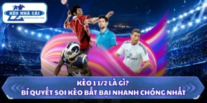 Kèo 1 1/2 Là Gì? Bí Quyết Soi Kèo Bất Bại Nhanh Chóng Nhất 9 Kèo 1 1/2 là gì